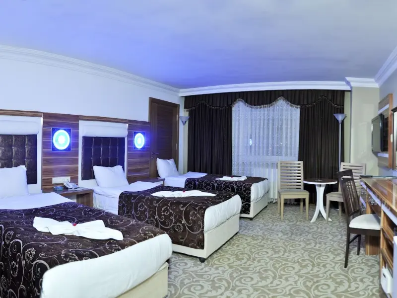 Demosan Spa & Otel — fotoğraf