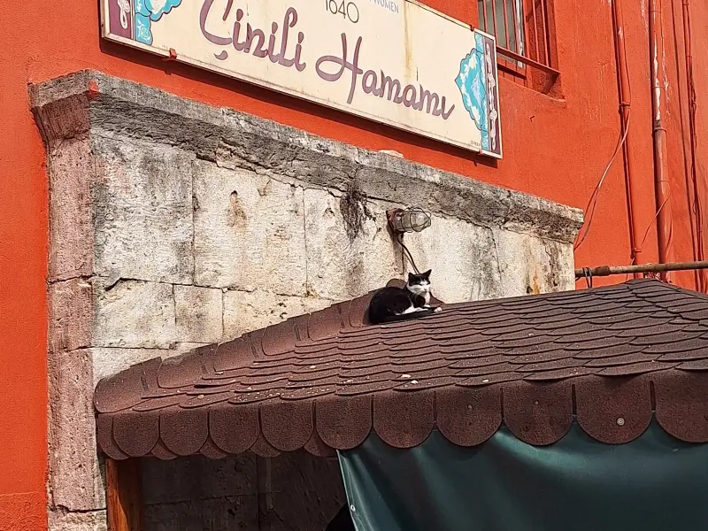 Üsküdar Çinili Hamamı — fotoğraf
