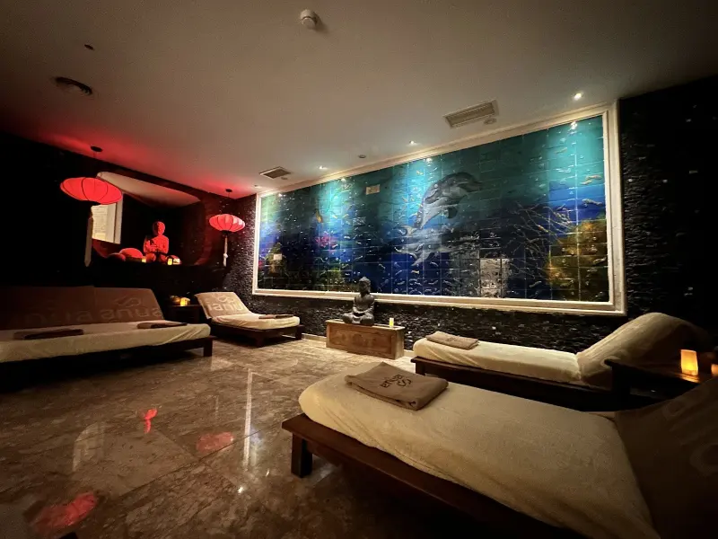 Ianua Spa & Wellness — fotoğraf