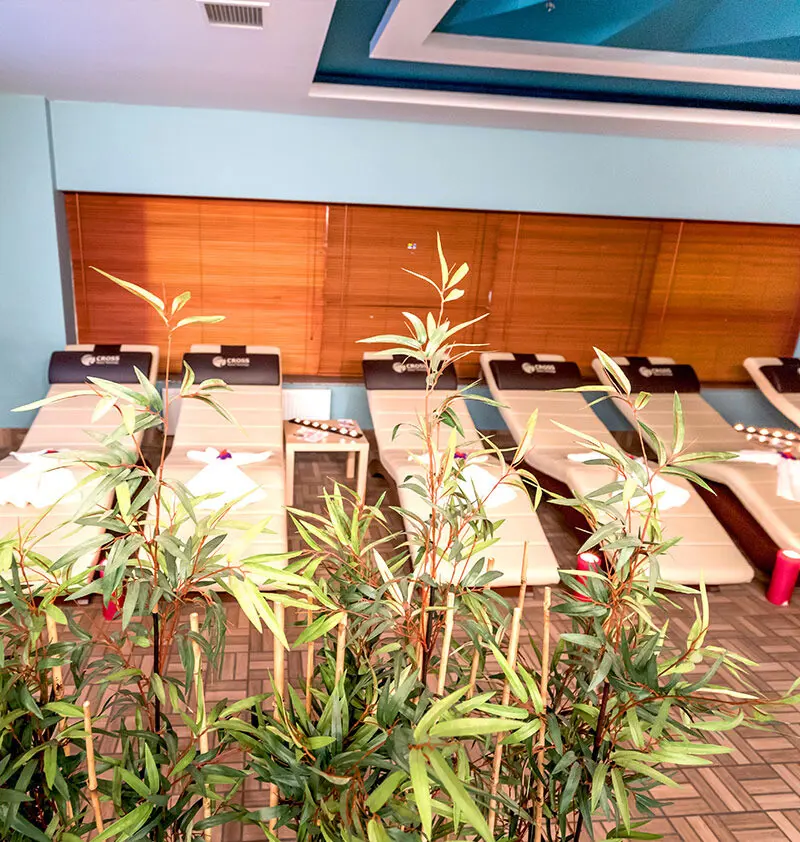 Elemor Spa — fotoğraf