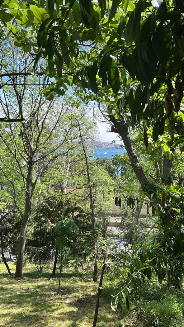 Pürovel Spa & Sport — fotoğraf