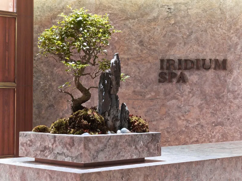 Iridium Spa — fotoğraf