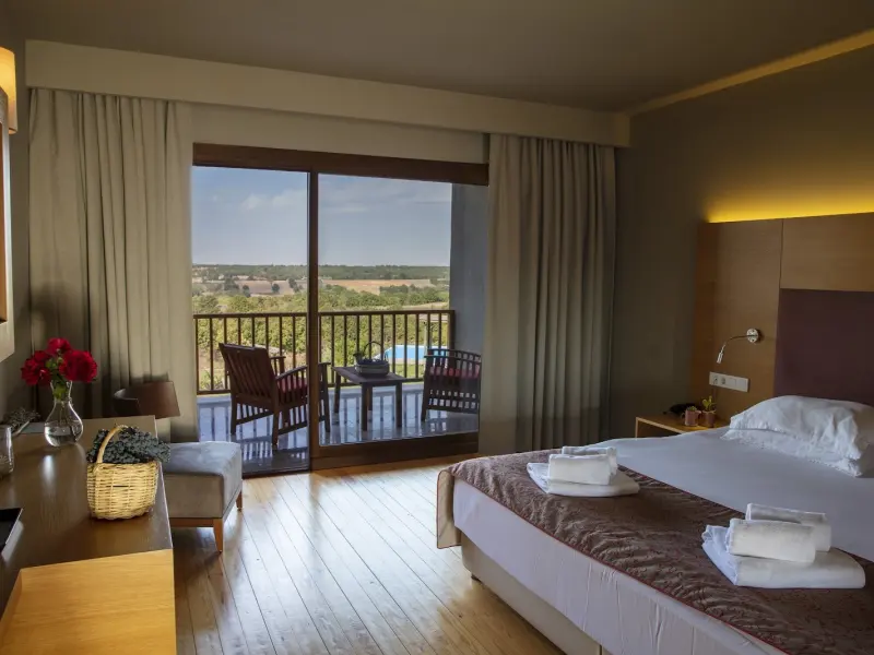 Bakucha Vineyard Hotel & SPA — fotoğraf